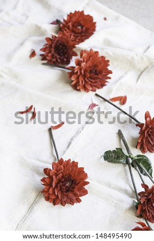 Red flowers on linen, detail of a bright red flowers, passion and decoration