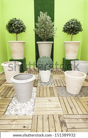 Potted plants for decoration, detail of some plants in a zen garden, decoration and flora, plants and flowers