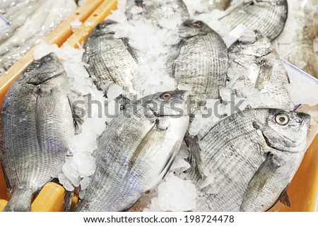 Fresh fish in a market, detail of an old fishmonger, healthy food, sea fish