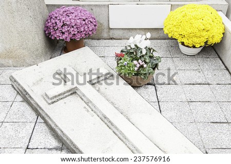 Graves with flowers, detail of an old cemetery, death and religion