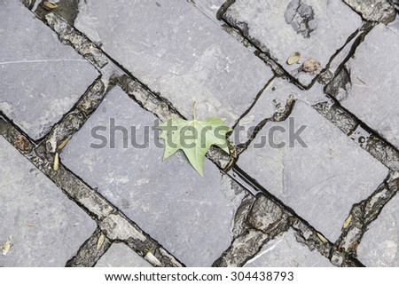 Ancient cobblestone floor, detail of a land in the city