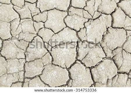 Dry earth ecological disaster, detail of climate change, drought and neglect