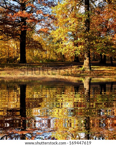 Digital effect pond with big reflection in fall forest