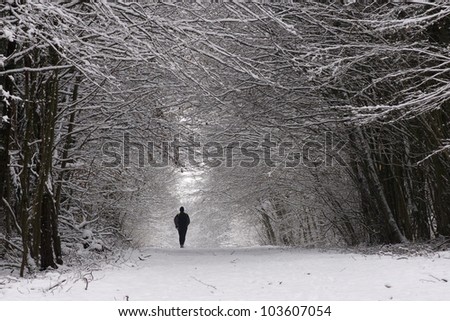 Path in a thick forest in winter- trees covered with snow and a man walking