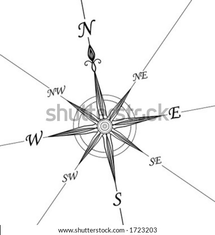 Compass wind rose - vector