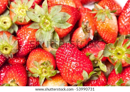 group strawberries arranged in a horizontal plane
