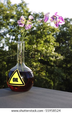 flowers in a flask of oil illustrating the struggle between the need for fossil fuels to keep the economy going, and the need to save the environment
