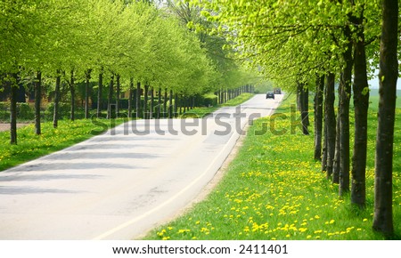 green spring landscape with green  trees in the danish country side  close up of old collection vintage cars traffic  signs in a city close up of old collection vintage cars