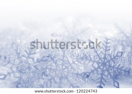 Blue and white snowflakes on a blue and white background