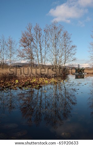 palude brabbia: wetland near varese lake