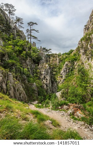 Tasnei Gorge protected area in Baile Herculane, Romania.