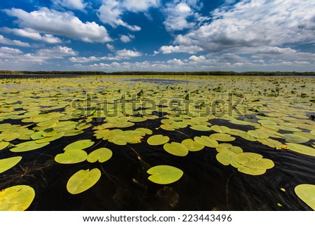 a beautiful lake in Danube Delta, Romania