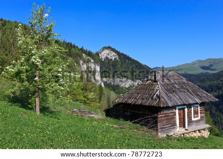 a mountain spring landscape with rustic home
