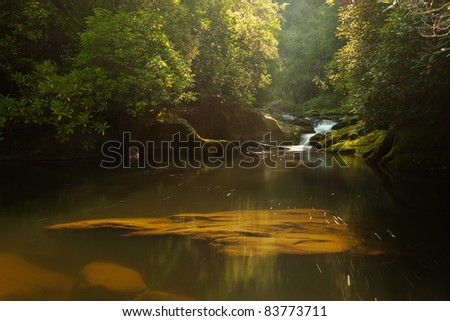 Chattooga River at Dawn: This wild and scenic river nestled in the forests of the Appalachian Mountains of North Carolina is seen here a few hours after sunrise