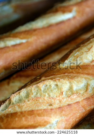 Detailed View of Fresh Baked French Loaves for Sale.