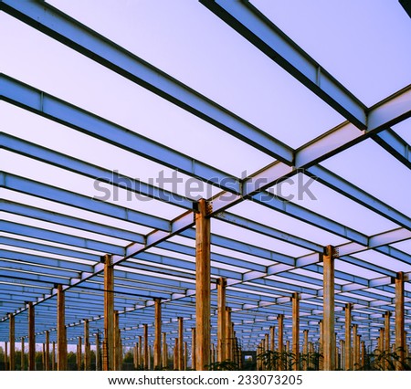 The steel frame, the half built site