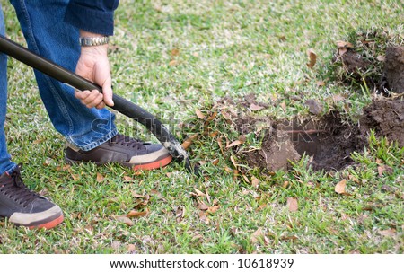 a man shovels a hole in the yard, preparing to plant a tree