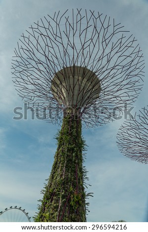 SINGAPORE - MAY 12: Gardens by the Bay on Mar 12, 2014 in Singapore. Gardens by the Bay was crowned World Building of the Year at the World Architecture Festival 2012