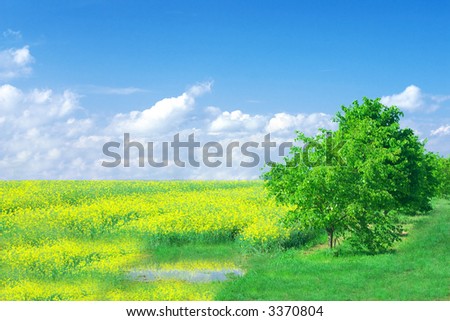 green field with blue sky, after rain finished, Oxfordshire, UK,  plenty of copy space