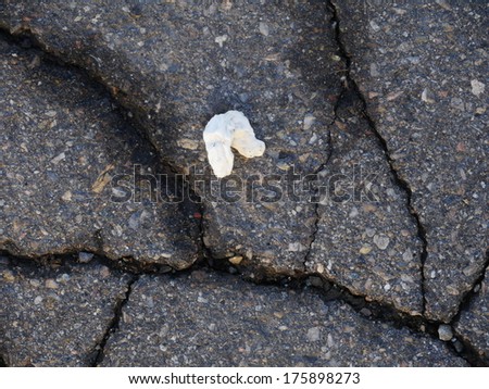 Sticked chewing gums on sidewalk