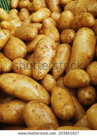 farmers market with organic grown potatoes