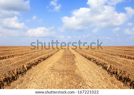 Spring arable land with furrows aspiring to horizon