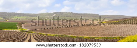 Panoramic view on spring agriculture valley - green fields,arable land, sleeping vineyards,olive plantations, blossom flowers and meliorative reservoirs - Judaic mountains, Israel