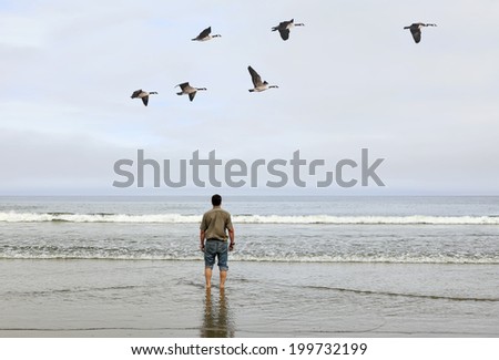 Flying Canadian geese over lonely man standing on sandy coast of Pacific ocean and looking on horizon