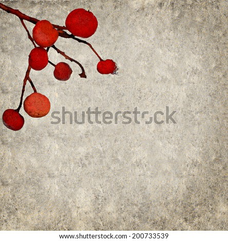 Textured old paper background with red wild  icy berries.Copy space is available