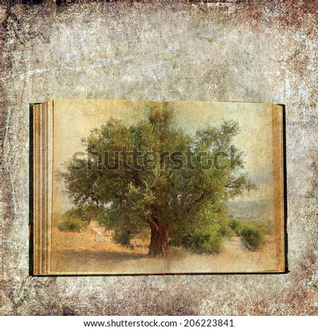 Textured grunge paper background with Old open book and olive tree