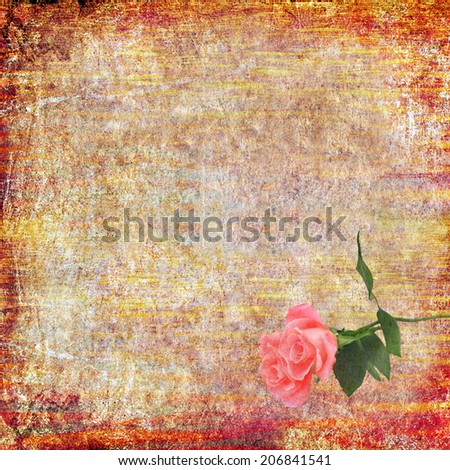 Textured grunge colorful paper background with rose flower. Copy space is available