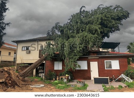 Similar – Image, Stock Photo old roof in crown covering with plain tiles and with an old small skylight / tiled roof