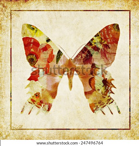 Textured old paper background with butterfly and flowers abstract silhouette. Texture abstract old paper background