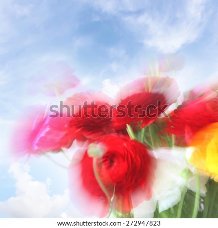Blurred flowers background. Natural motion blurred buttercup flowers bouquet on blue sky background