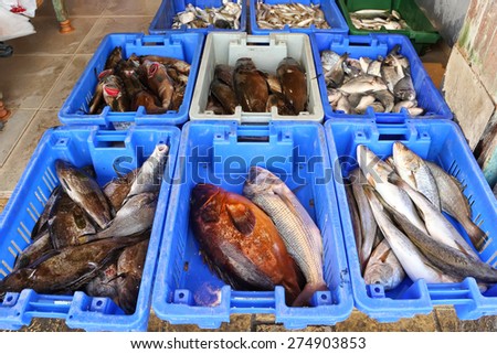 ACRE, ISRAEL - APRIL 05, 2015 : Fresh fish of the Mediterranean sea at the East Arab market of old City of Acre (Akko). Mediterranean, Israel