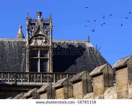 Paris Rooftops and pigeons (France)