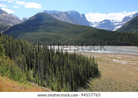 Rocky mountains covered with coniferous wood  and river currents in a valley between mountain wood in Banff National Park (Alberta, Canada)