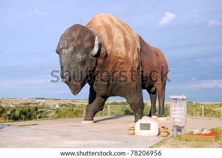 JAMESTOWN, ND - AUGUST 24: The World's Largest Buffalo, seen here on August 24, 2009, can be seen from I-94, and is nicknamed Dakota Thunder.  It is located in Frontier Village in Jamestown, ND