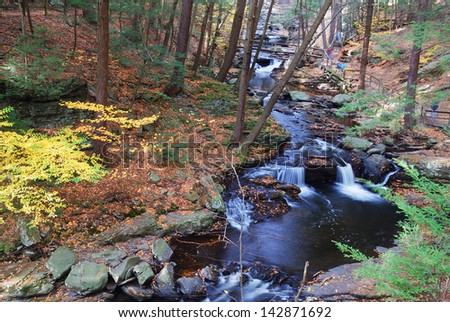 Autumn creek with hiking trails and foliage in forest. From Dingmans Falls, Pennsylvania.