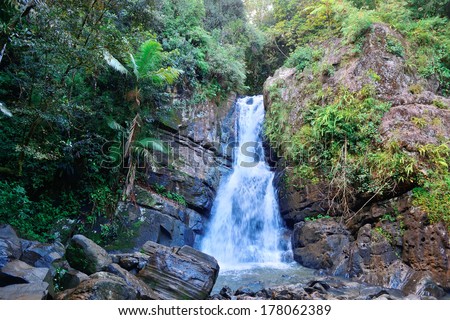 Waterfall in tropical rain forest in San Juan, Puerto Rico.