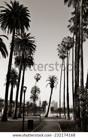Los Angeles downtown park view with palm trees.