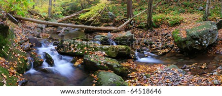 Autumn creek closeup panorama with yellow maple trees and foliage on rocks in forest with tree branches.