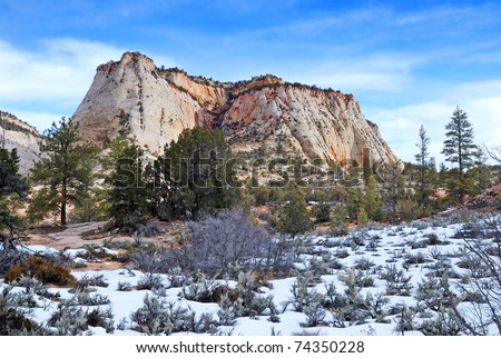 Zion National Park in the morning with red rocks, road and snow in winter, Utah.
