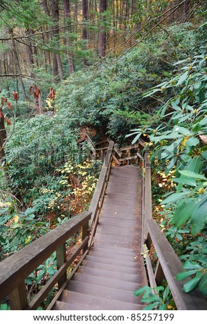 Autumn hiking trail with foliage in woods. From Bushkill Falls, Pennsylvania.