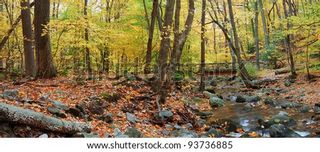 Autumn forest with wood bridge panorama over creek in yellow maple forest with trees and colorful foliage.