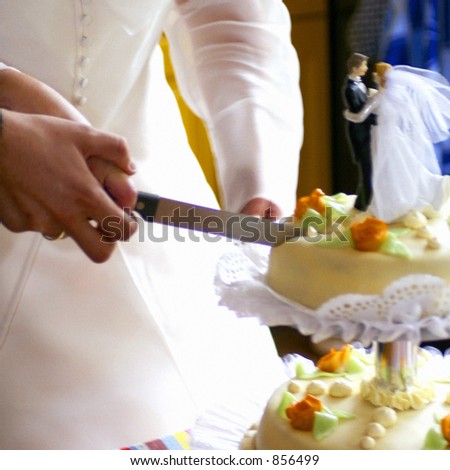 cutting the wedding cake