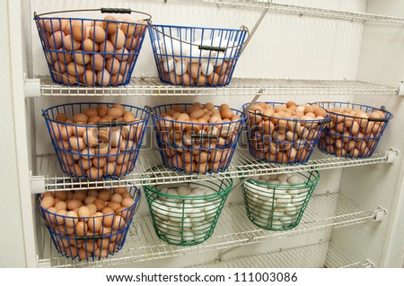 A collections of wire baskets full of fresh organic eggs from a green farm
