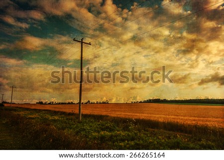 Vintage textured landscape with telephone lines along wheat fields in rural Prince Edward Island.