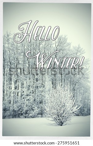 Inspirational Typographic Quote - Hello Winter!