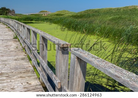 A walkway over the marsh along the sand dunes in Prince Edward Island National Park, Cavendish, PEI, Canada.